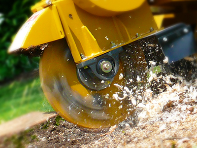 Equipment Rentals in the North Coast